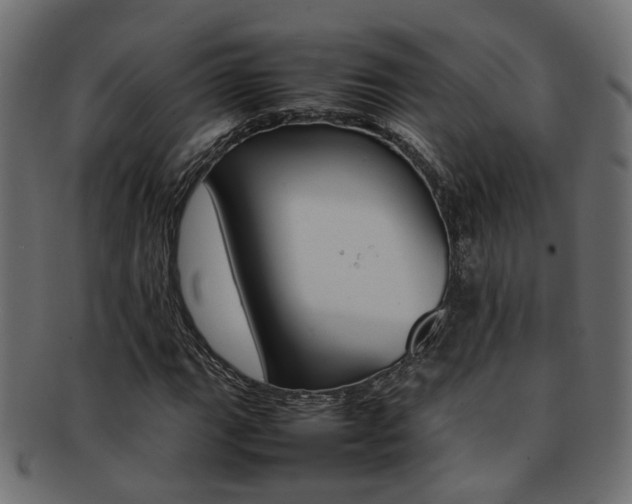 X0000092241111200709140957