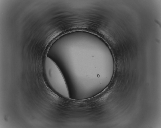 X0000092241113200709140958