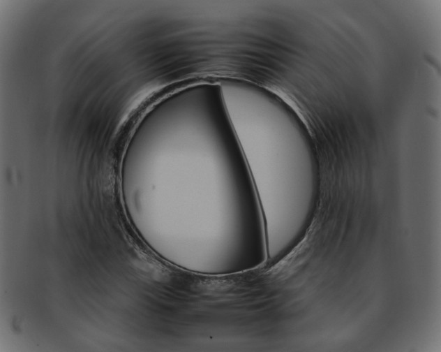 X0000092241115200709140958