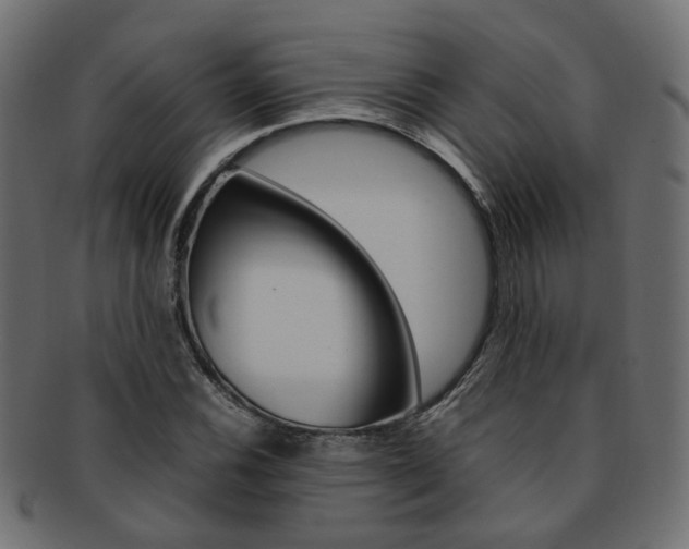 X0000092241116200709140958