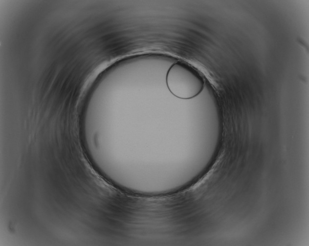 X0000092241118200709140958