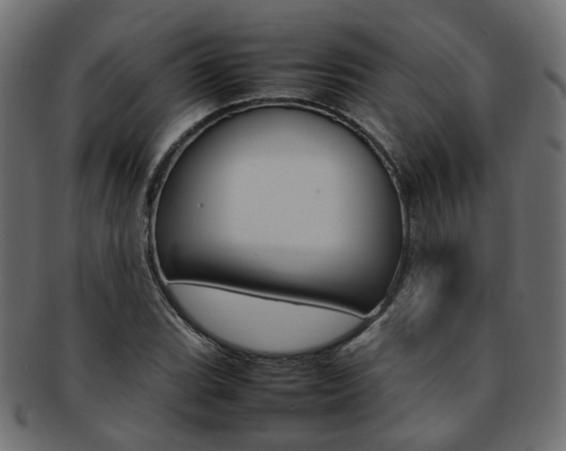 X0000092241119200709140958