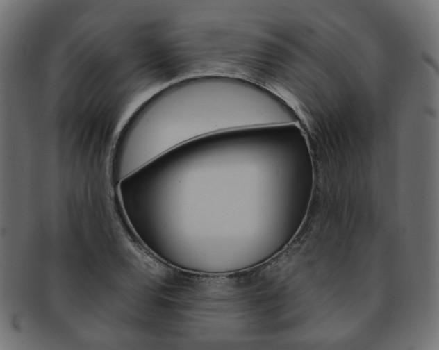 X0000092241120200709140958