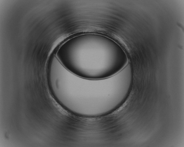 X0000092241122200709140958