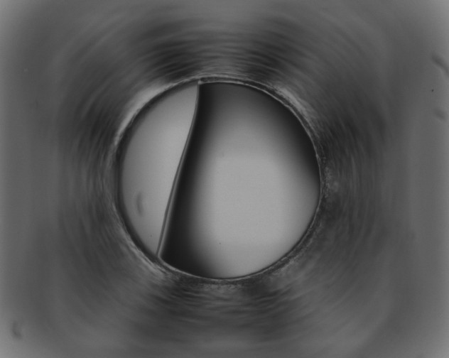 X0000092241123200709140958