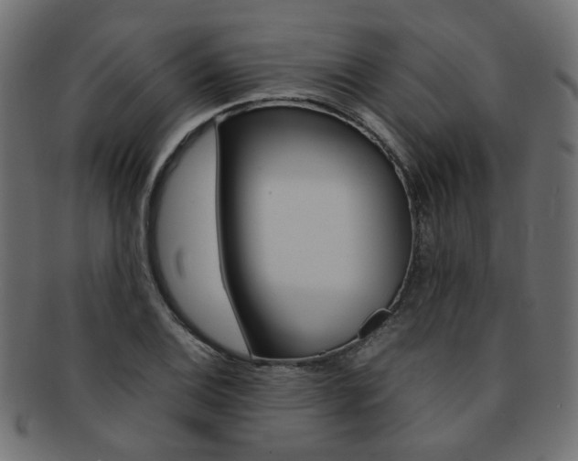 X0000092241124200709140958