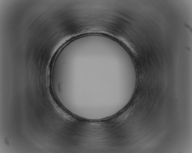 X0000092241126200709140958