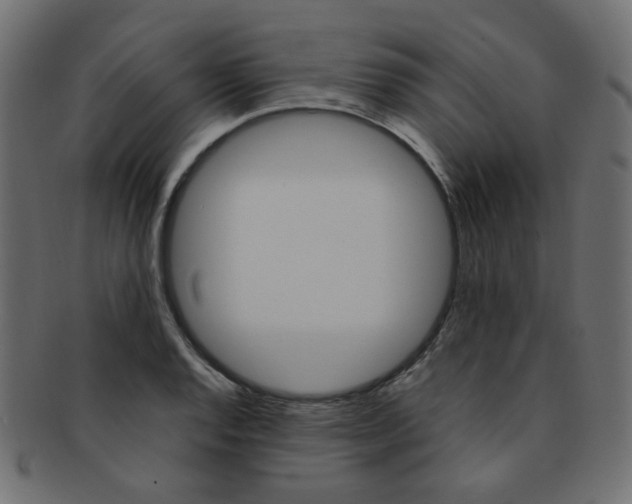 X0000092241128200709140958