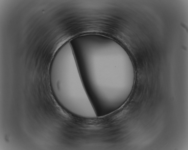 X0000092241129200709140958