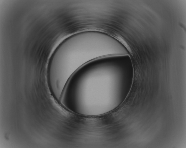 X0000092241132200709140958