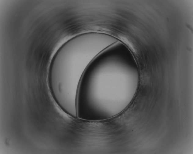 X0000092241136200709140958