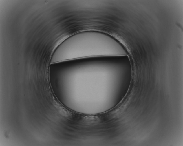 X0000092241137200709140958