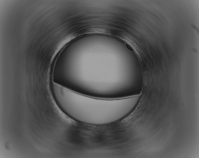 X0000092241139200709140958