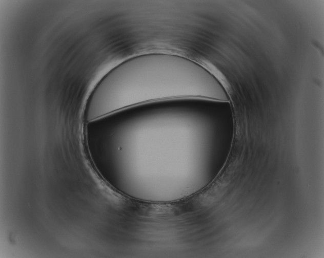 X0000092241144200709140958