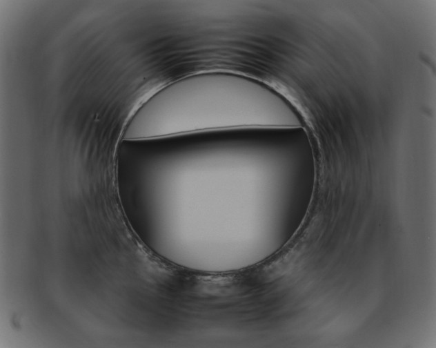 X0000092241145200709140958
