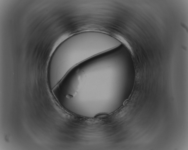 X0000092241146200709140958