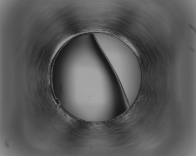 X0000092241148200709140958