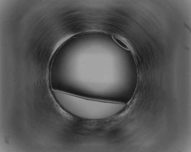 X0000092241149200709140958
