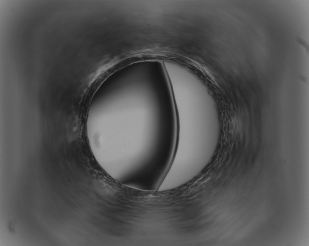 X0000092241160200709140957