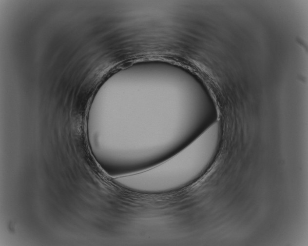 X0000092241161200709140957