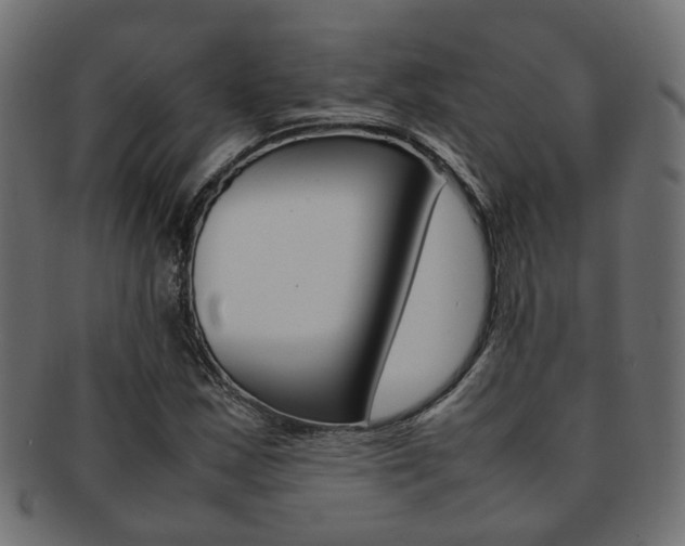 X0000092241163200709140957