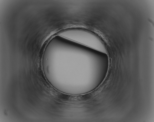 X0000092241165200709140957