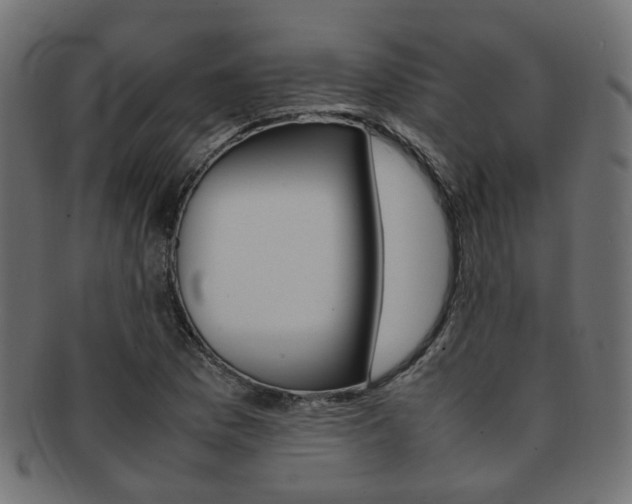 X0000092241169200709140957