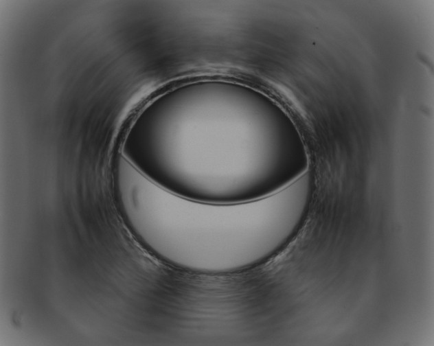 X0000092241172200709140957