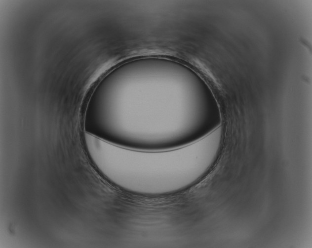 X0000092241173200709140957