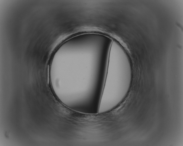 X0000092241175200709140957