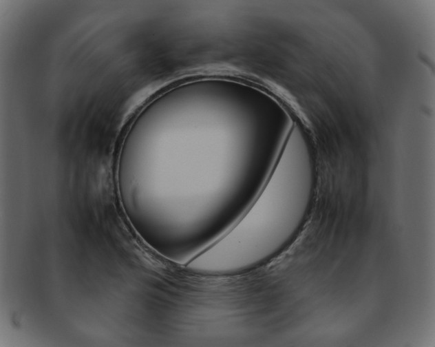 X0000092241176200709140957
