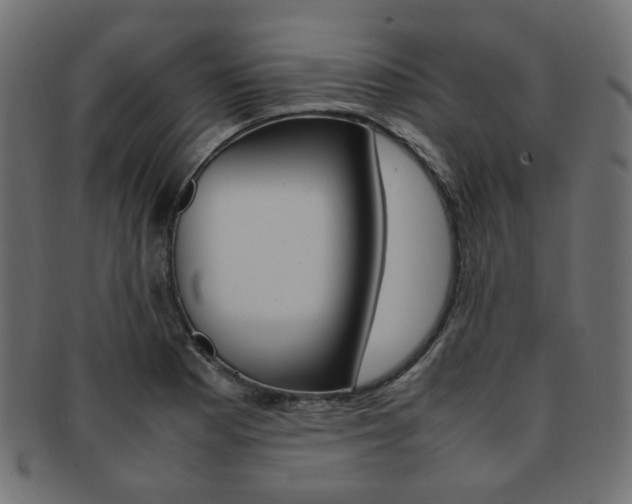 X0000092241177200709140957