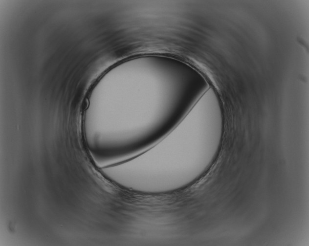 X0000092241179200709140957