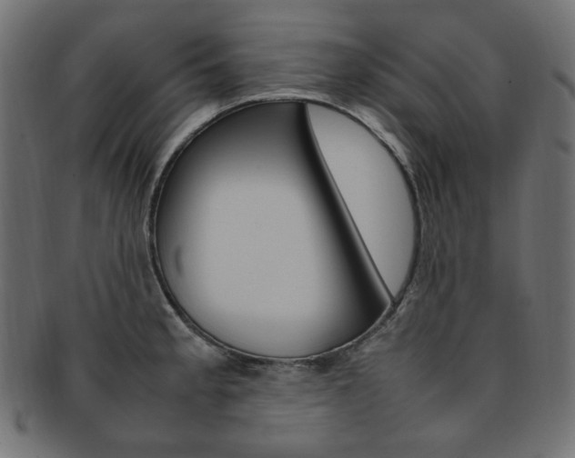 X0000092241189200709140957
