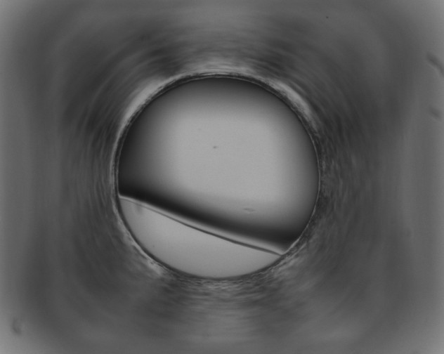 X0000092241191200709140957
