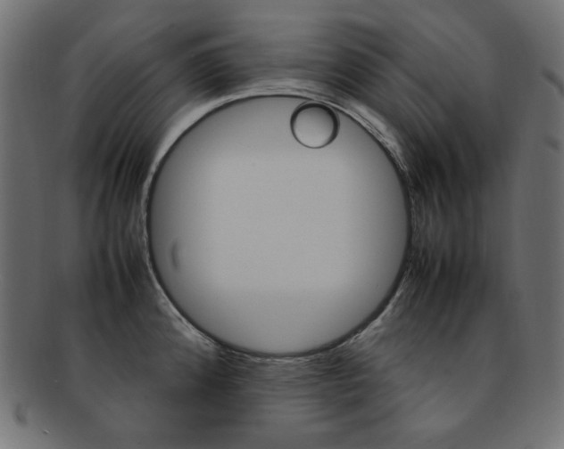 X0000092241192200709140957
