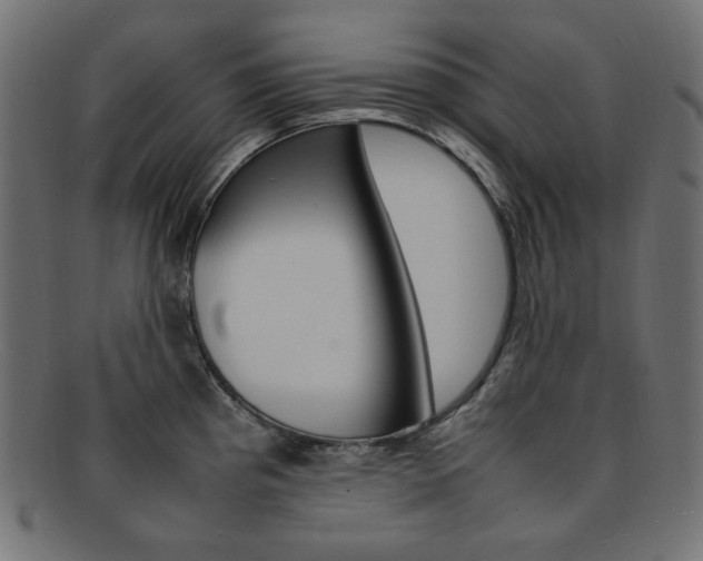 X0000092241193200709140957