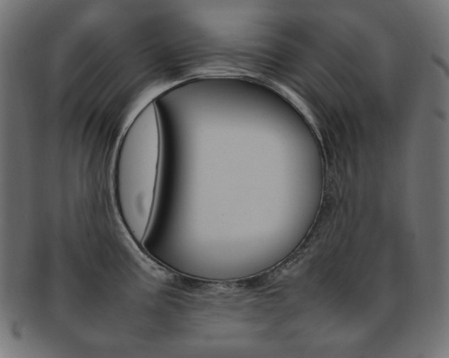 X0000092241195200709140957