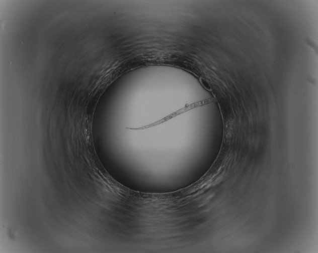 X0000092241202200709140956