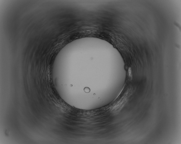 X0000092241203200709140956