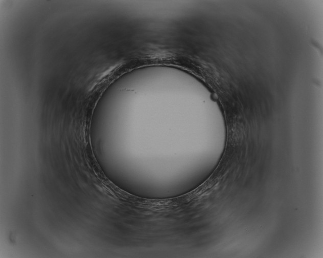 X0000092241205200709140956