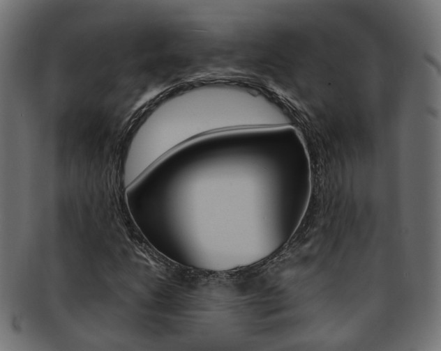 X0000092241206200709140956
