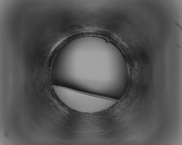 X0000092241208200709140956
