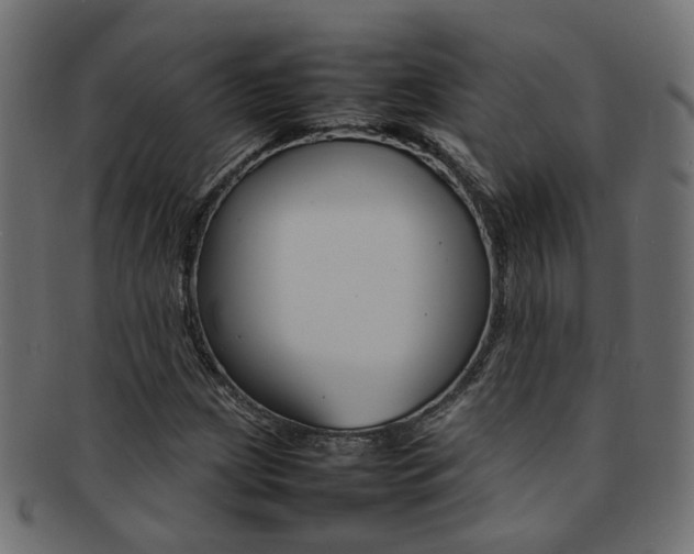 X0000092241209200709140956