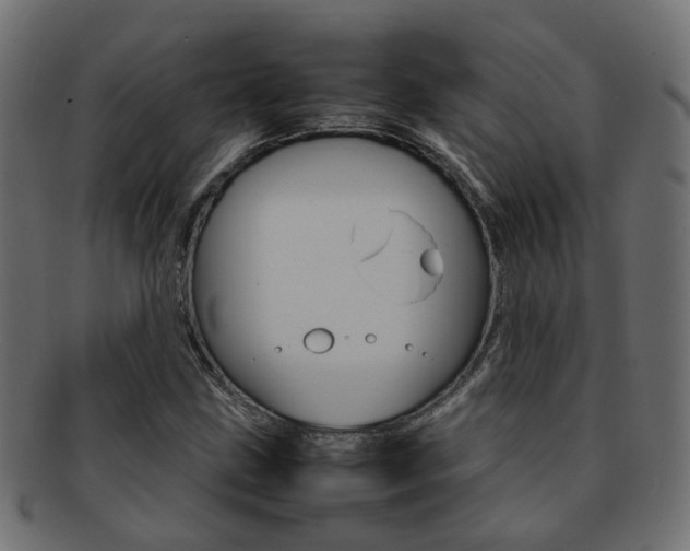 X0000092241211200709140956