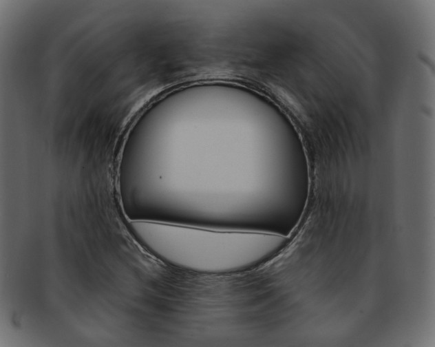 X0000092241212200709140956
