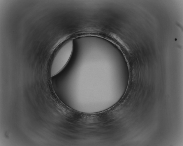 X0000092241213200709140956