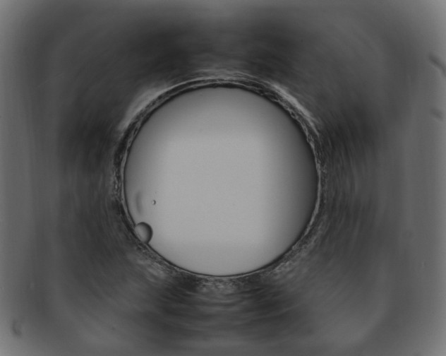 X0000092241215200709140956