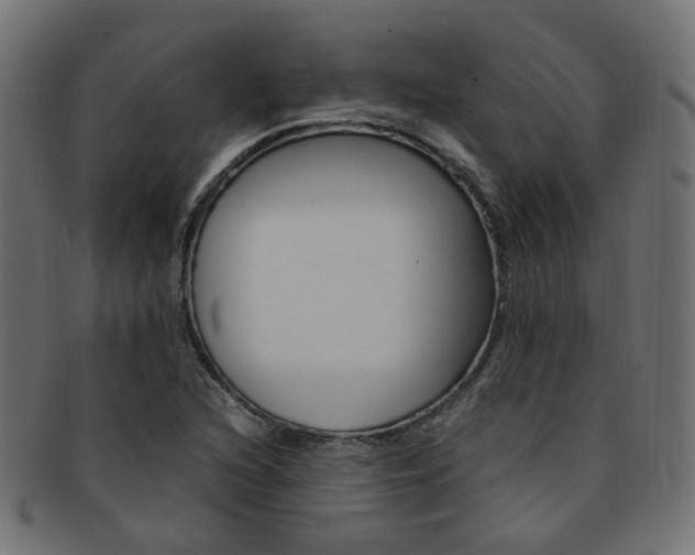 X0000092241216200709140956