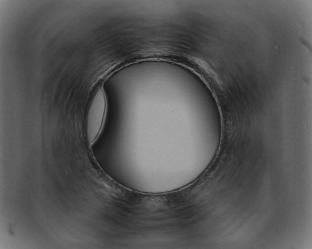 X0000092241217200709140956